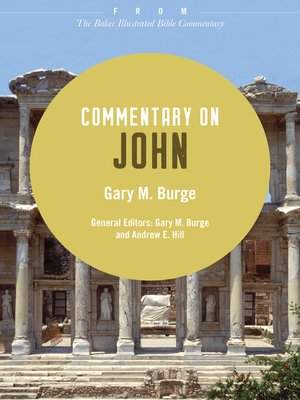 cover image of Commentary on John